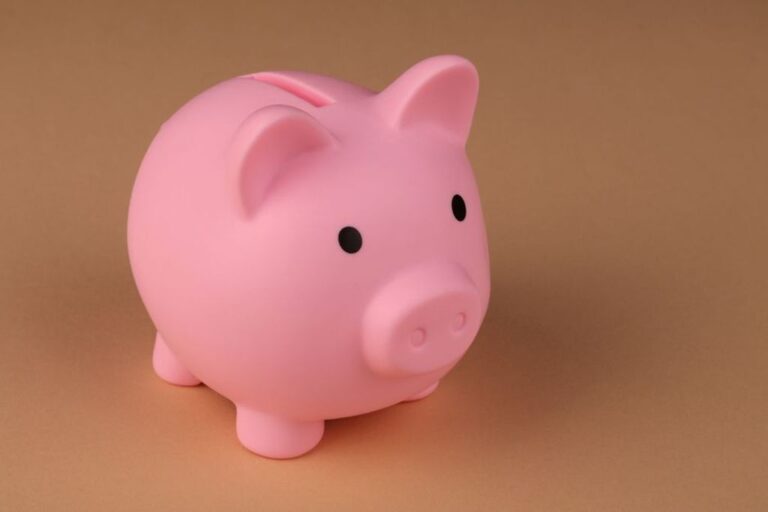 piggy bank savings