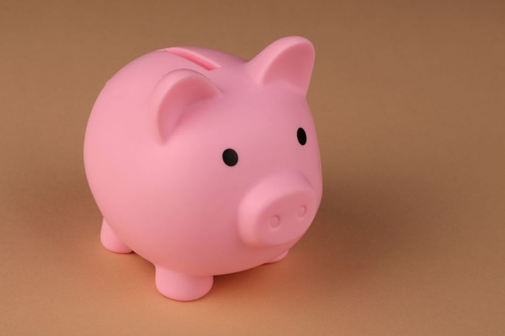 piggy bank savings